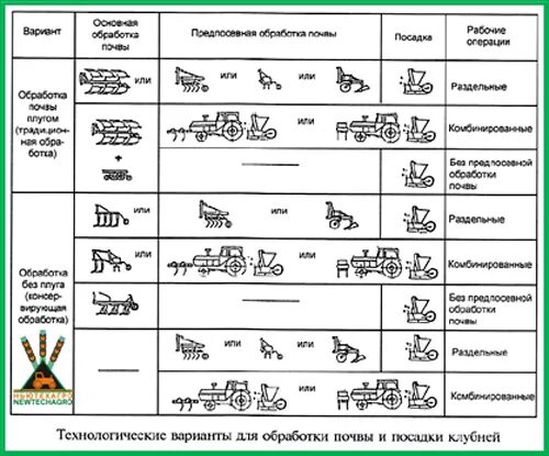 Технологическая схема возделывания картофеля. Технологическая схема возделывания картофеля таблица. Технологическая карта возделывания картошки. Технологическая карта технологии возделывания картофеля. Земля на карте технологическая карта