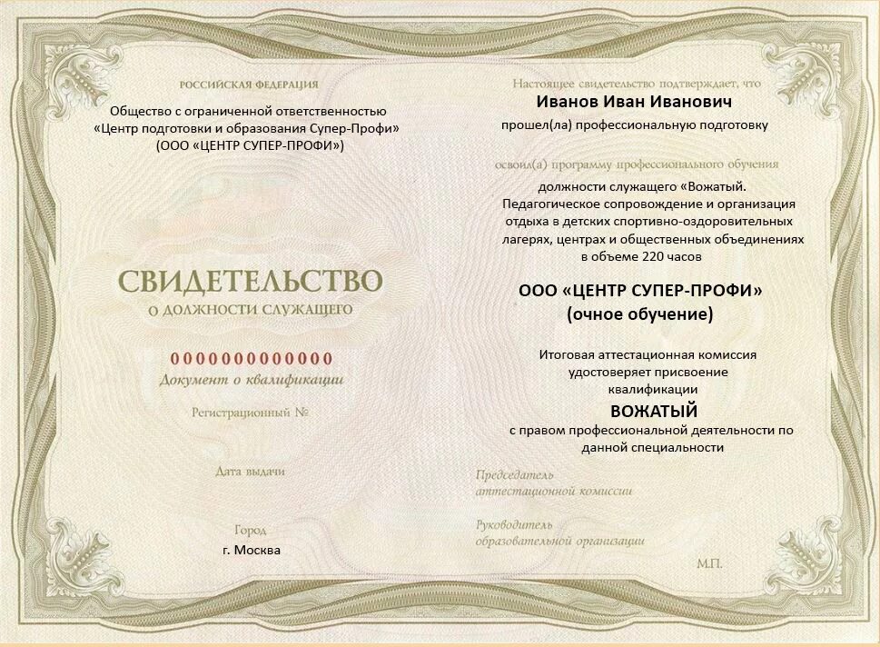 Курсы повышения квалификации вожатых. Квалификация вожатого. сертификат школы вожатых. квалификации у вожатых. повышение квалификации вожатых.