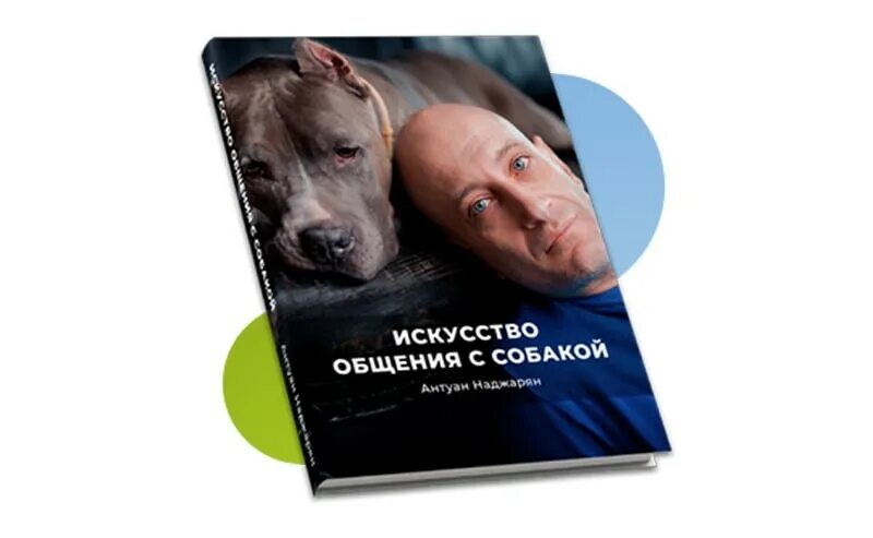 Наджарян дрессировка собак. Антуан наджарян. Антуан наджарян и итон. Психолог по собакам антуан наджарян записаться на прием. Воспитание щенка антуан.