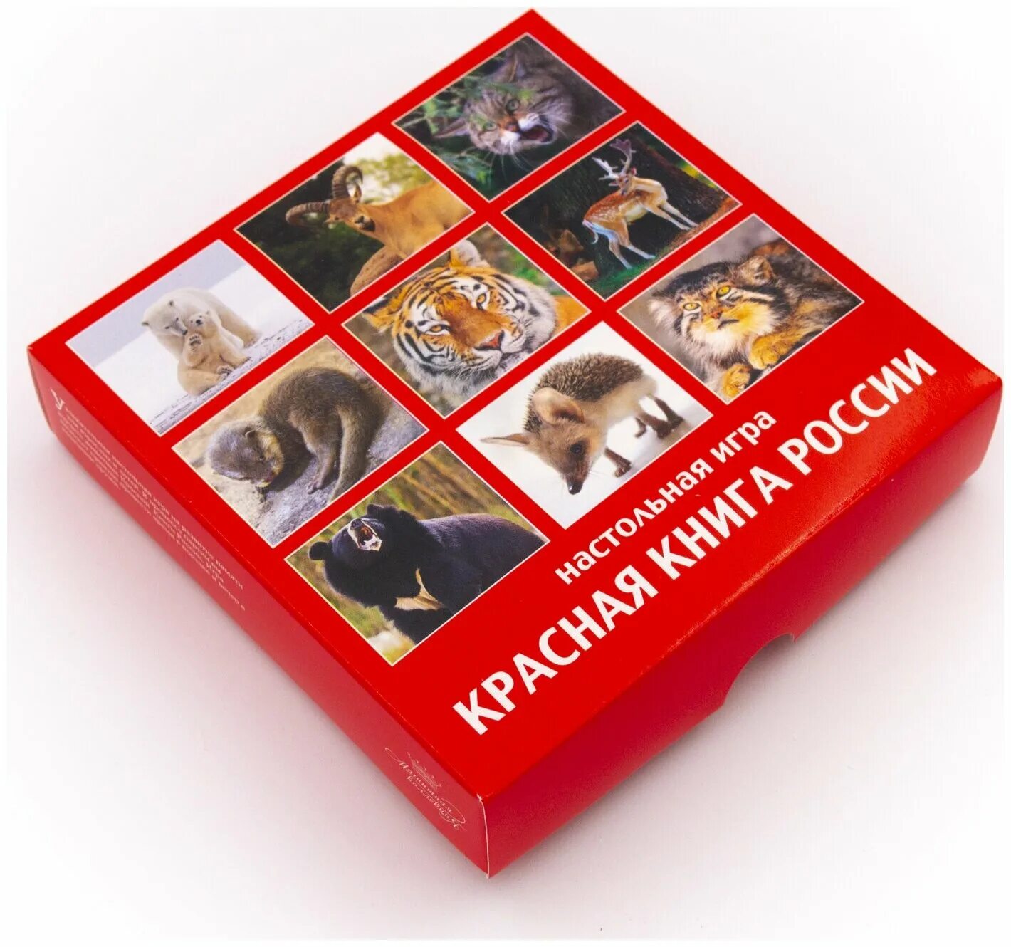 Лэпбук красная книга для дошкольников. Интерактивная игра красная книга. Интерактивная игра красная книга. Интерактивная игра красная книга. Лэпбук красная книга.