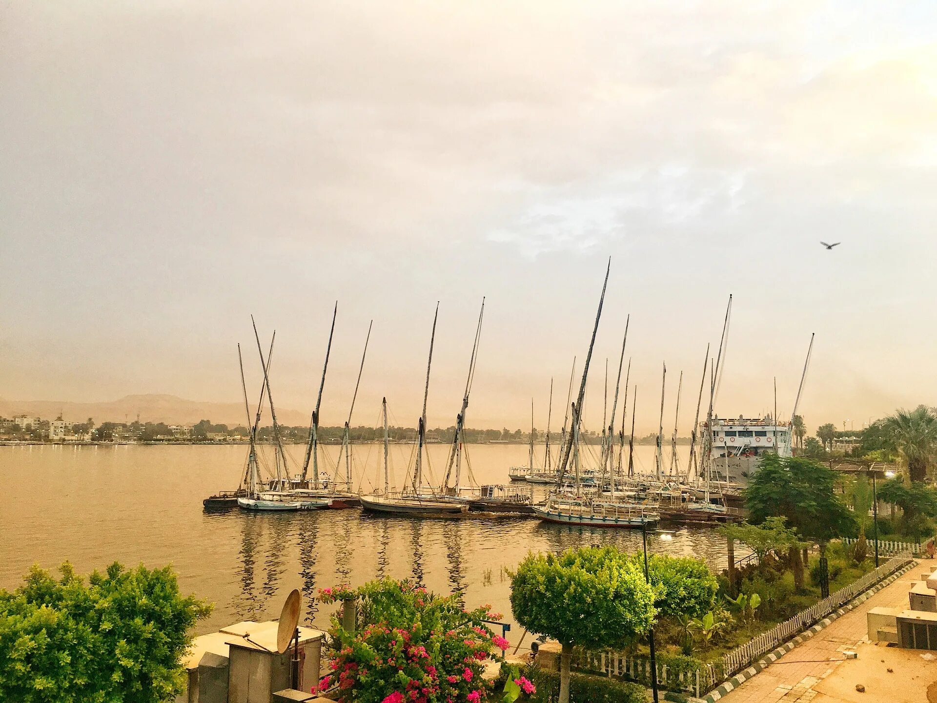 Каир море