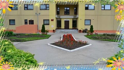 Сад номер 14