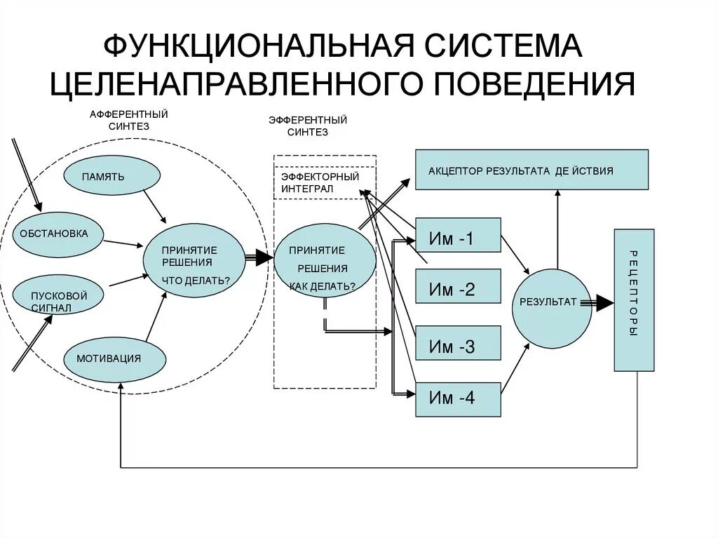 Схема поведения системы