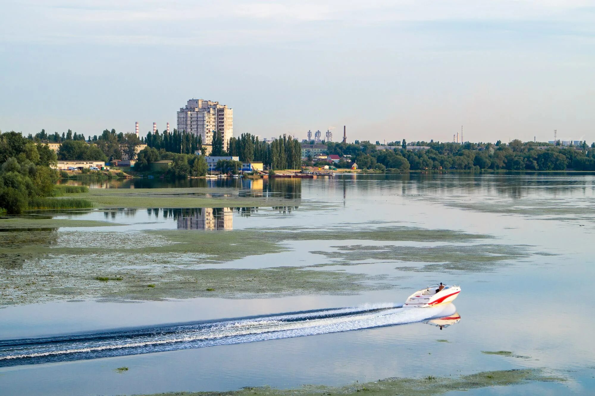 Воронеж сколько рек. Липецк река. Река Воронеж. Речка в Липецке. Река в городе Липецк.