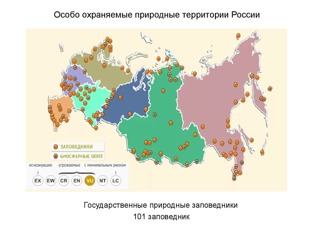 Особо охраняемые природные заповедники России. Заповедники и национальные парки России карта. Сколько в России заповедников,заказников,национальных парков. Заповедники национальные парки заказники России на карте.