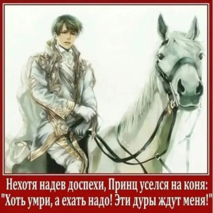 Нехотя это. Принц на белом коне. Принц на белом коне юмор. Принц смешные картинки. Принц на белом коне прикол.