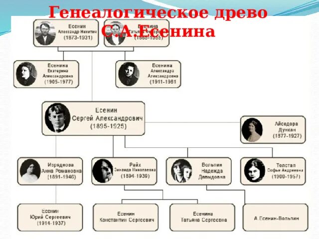 Древо ростовых. Генеалогическое дерево Тургеневых генеалогическое. Семейное Древо ростовых. Дерево родословная Гогенцоллернов. Генеалогическое Древо кыргызов.