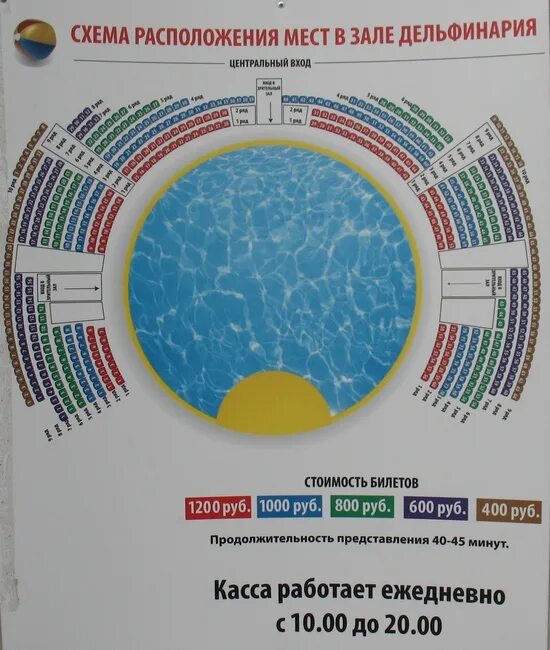 Дельфинарий Новосибирск схема зала. Схема зала Москвариум на ВДНХ. План схема Москвариума. Новосибирский дельфинарий схема зала.