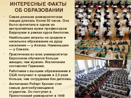 Интересные факты об образовании