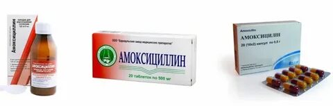 Антибиотики кошкам при инфекции