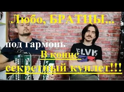 Любо разбор