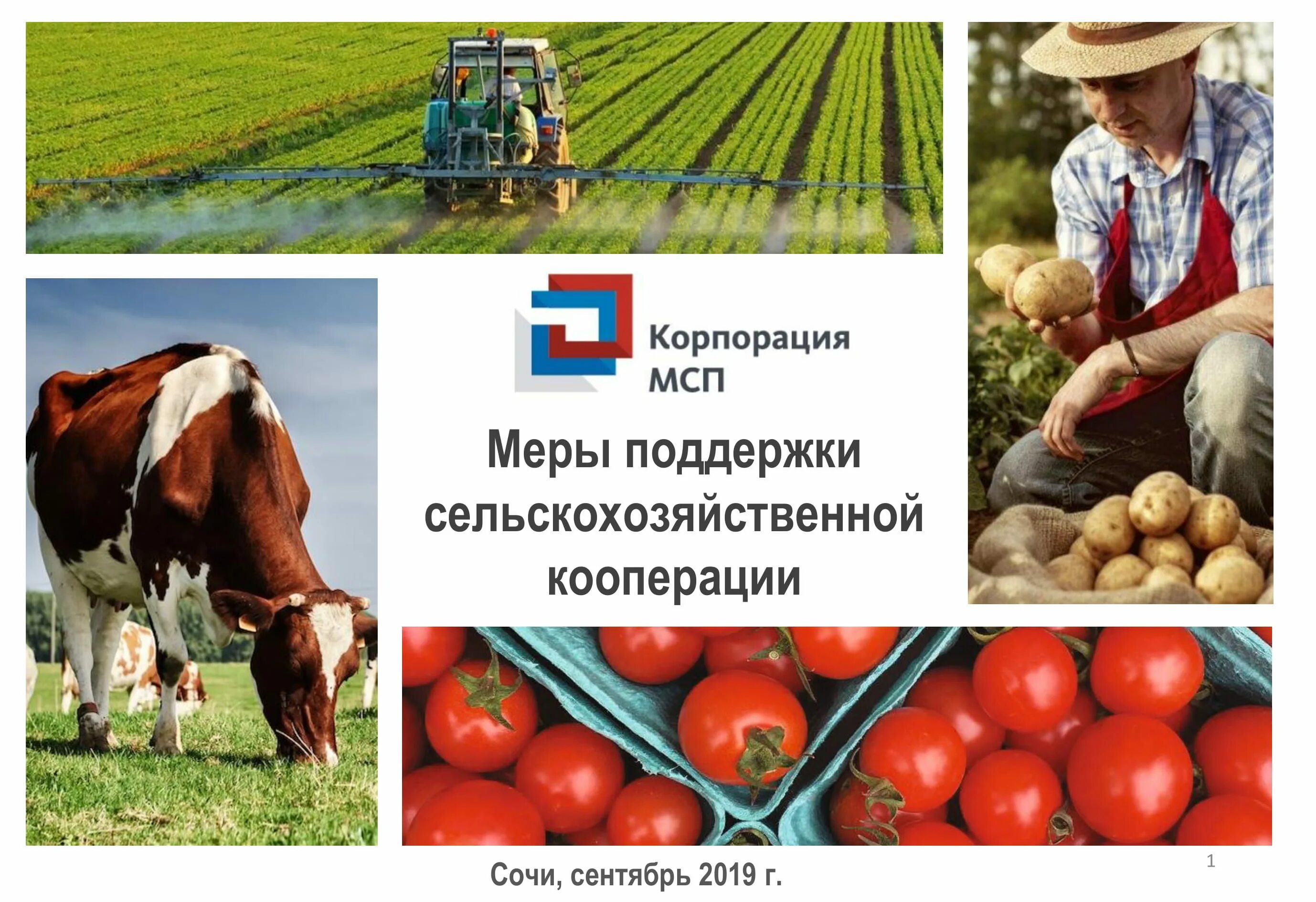 Поддержка фермеров и развитие сельской кооперации. Сельскохозяйственная кооперация. меры государственной поддержки сельского хозяйства. кооперация в сельском хозяйстве. поддержка сельского хозяйства.