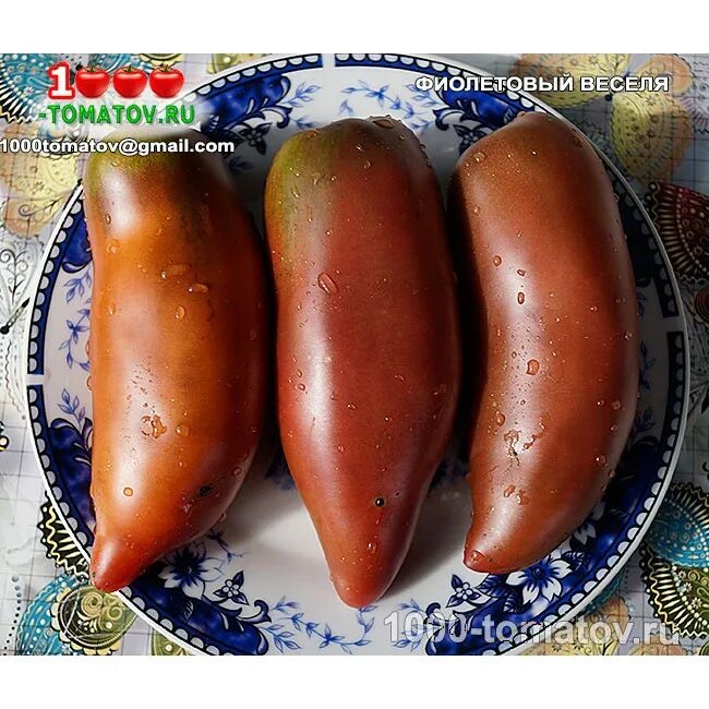 фиолетовый весселя