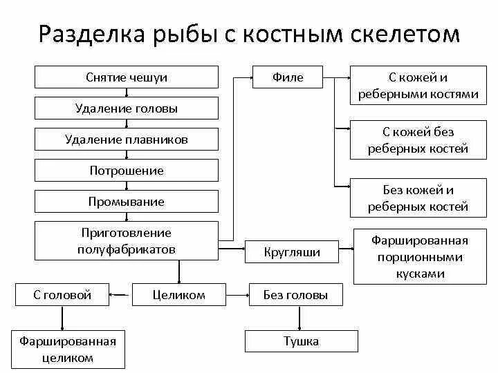 Технологическая схема разделки рыбы с костным скелетом. Технологическая схема обработки Бесчешуйчатой рыбы. Технологическая схема обработки рыбы с костным скелетом. Схема технологического процесса обработки рыбы. Обработка рыбы операции