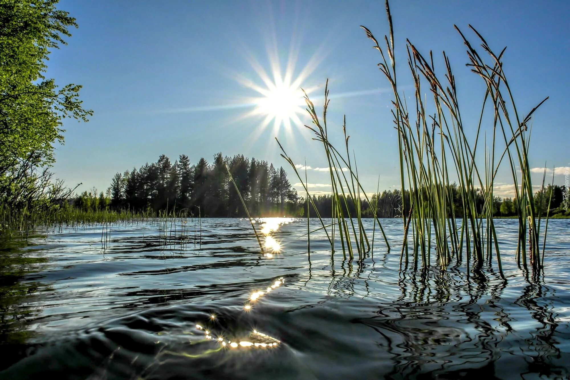 Озеро солнце. Отражение солнца в воде. Пейзаж с отражением в воде. Блики солнца на воде. Наблюдать речка