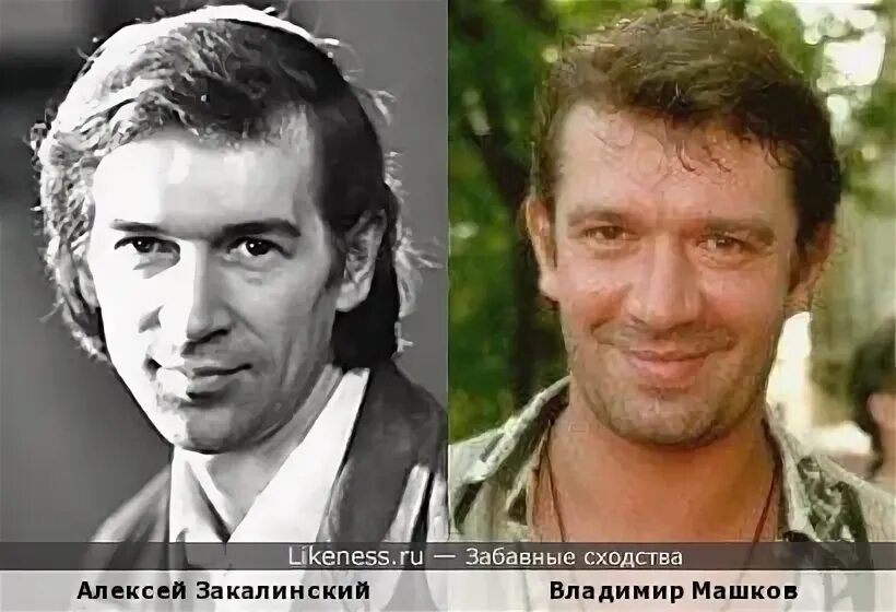 Машков похож. Машков Хочинский актер.