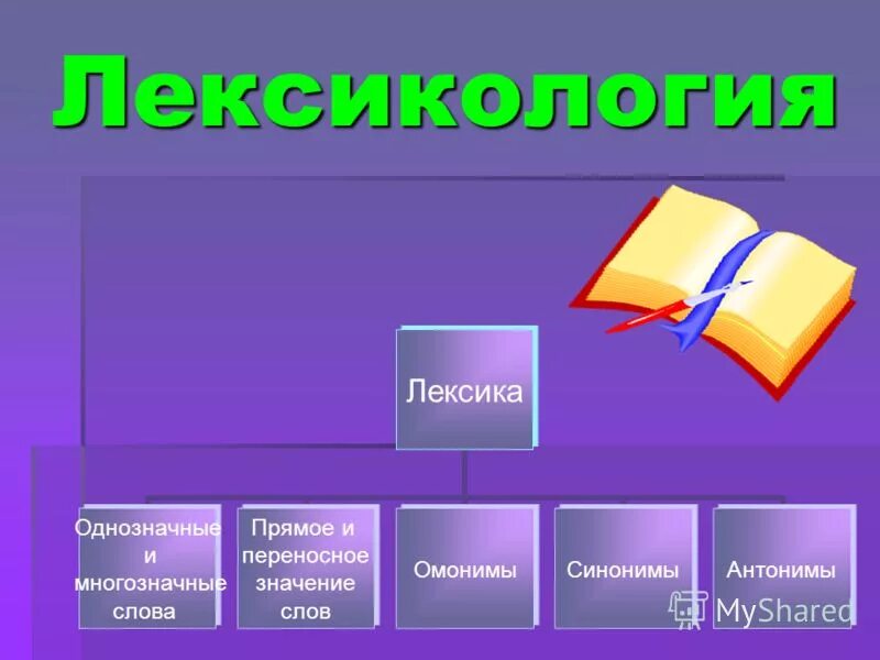 Павер і 5 клас. Лексикология. Лексикология презентация. Лексика и лексикология. Что изучает лексикология.