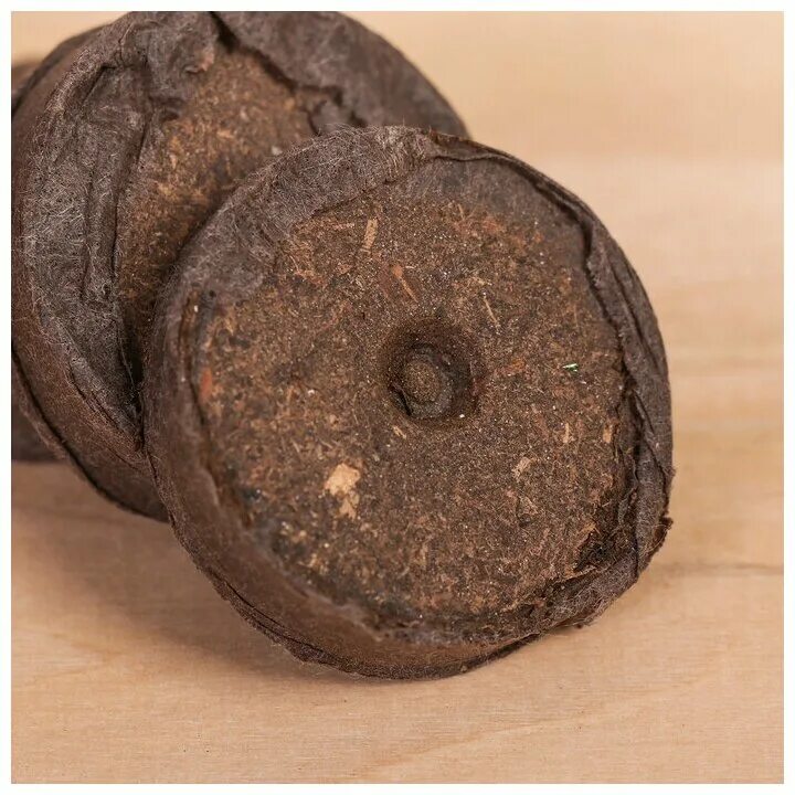 Алиссум в торфяных таблетках. Торфяные таблетки "jiffy" 24мм. Торфяные таблетки jiffy. Таблетки jiffy-7. Торфяные капсулы для рассады.