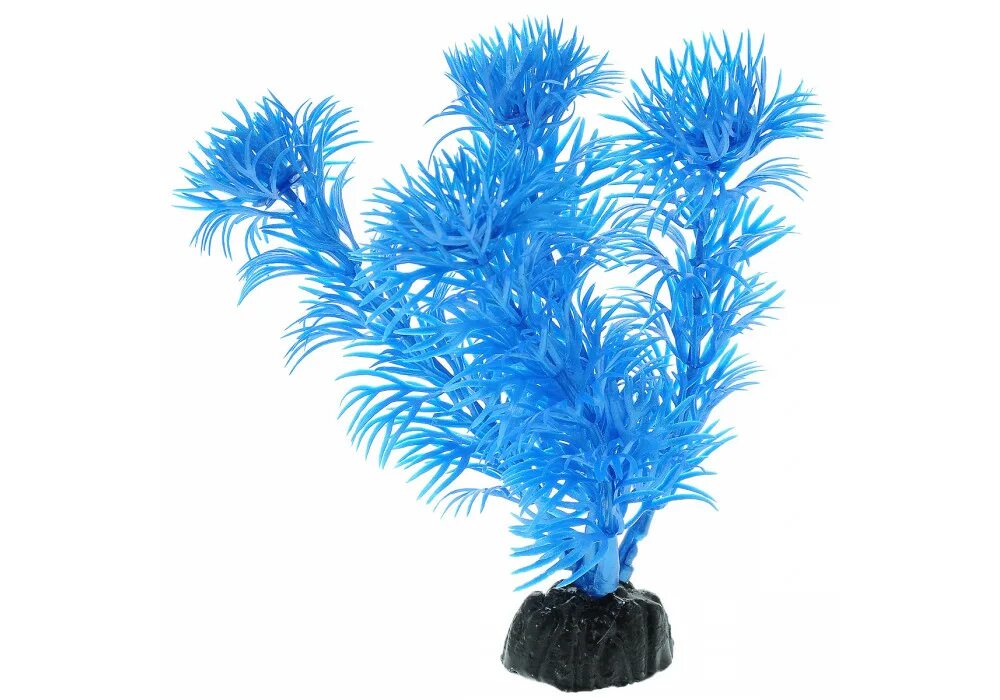 Кабомба. Кабомба растение. Кабомба синий металлик пластиковое растение Barbus Plant 020. Растение пластиковое 10см Барбус. Светильник barbus