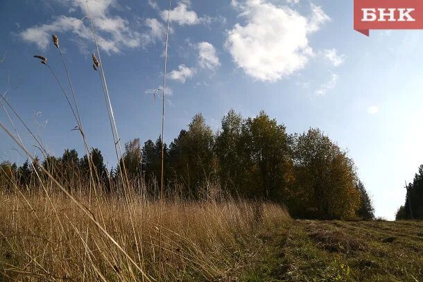 Погода сухая и безветренная. Безветренная погода как. Безветренная погода.