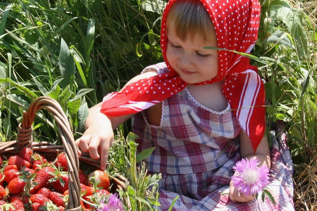 Ягодка ест ягодку. Собирать ягоды. Девочка с земляникой. Дети собирают ягоды. Ягоды для детей.