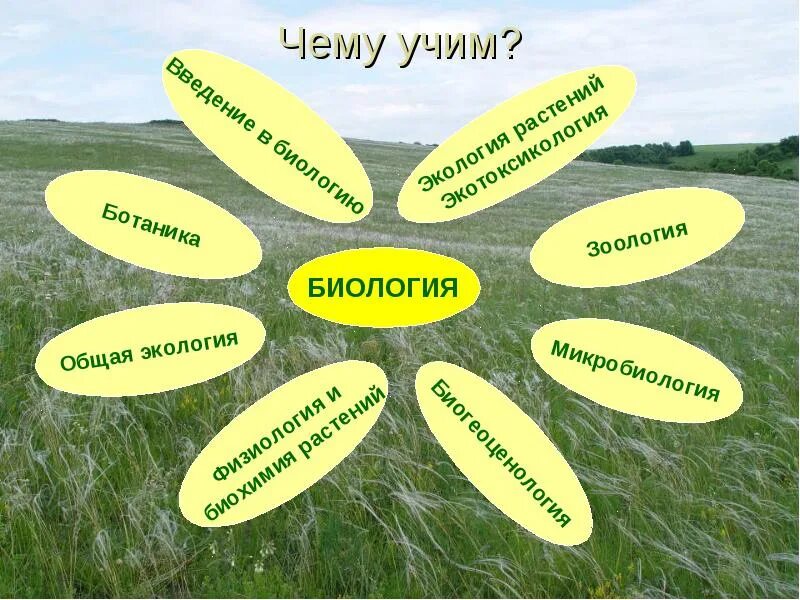 Биология. Картинки по биологии. Науки биологии. Урок биологии.