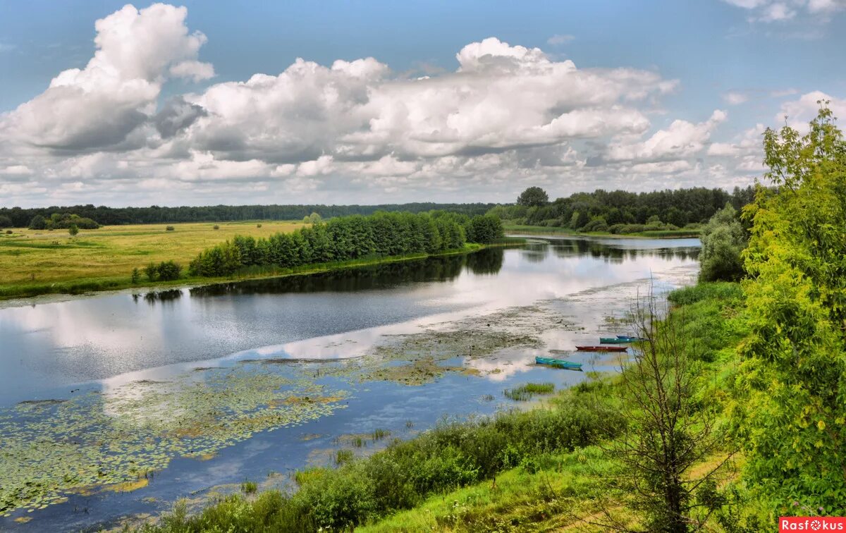 Сайт сейм курск