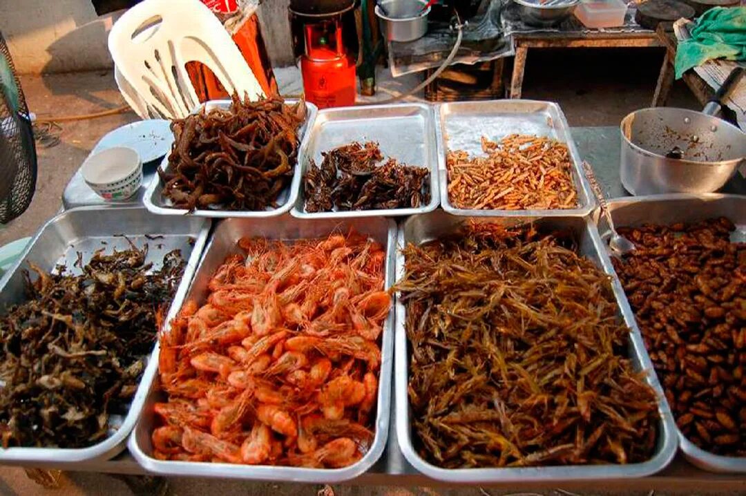 Где едят червей. Тараканы в Тайланде. Тайская еда Паттайя. Жареные жуки в Тайланде. Блюдо тараканы Тайланд.
