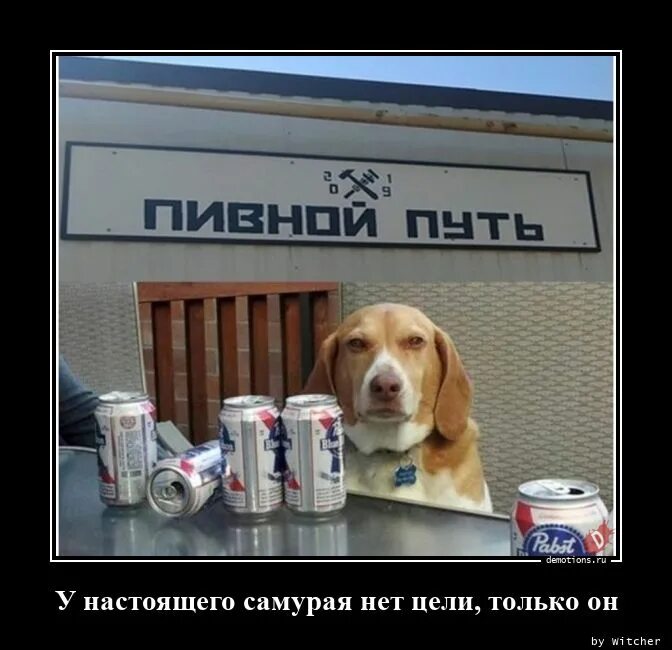 Фраза у самурая нет цели есть. У самурая нет цели мем. у самурая не ют цели только путь. у самурая нет цели только пивной путь. пивной путь мем с собакой.
