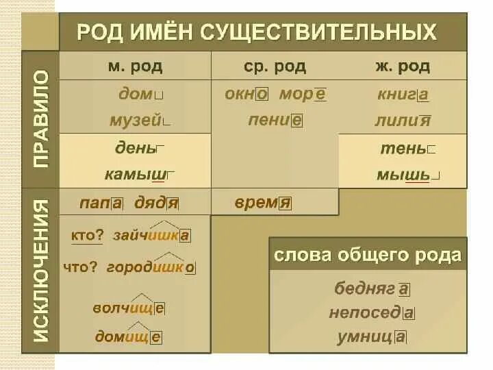 Род имен существительных. Род существительных слова. Русский язык род имен существительных. Какой род существительного.