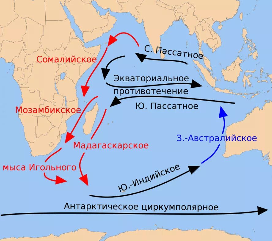 Южное пассатное течение индийского океана. Течения индийского океана теплые и холодные. Теплые течения индийского океана. Муссонное течение на карте индийского океана.