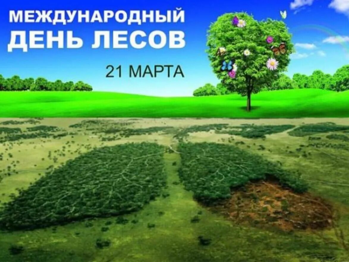 21 международный день леса. Международный день лесов. Международныйдерь лесов. Всемирный день леса.