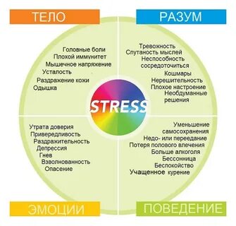 Постоянно в стрессе и переживаниях