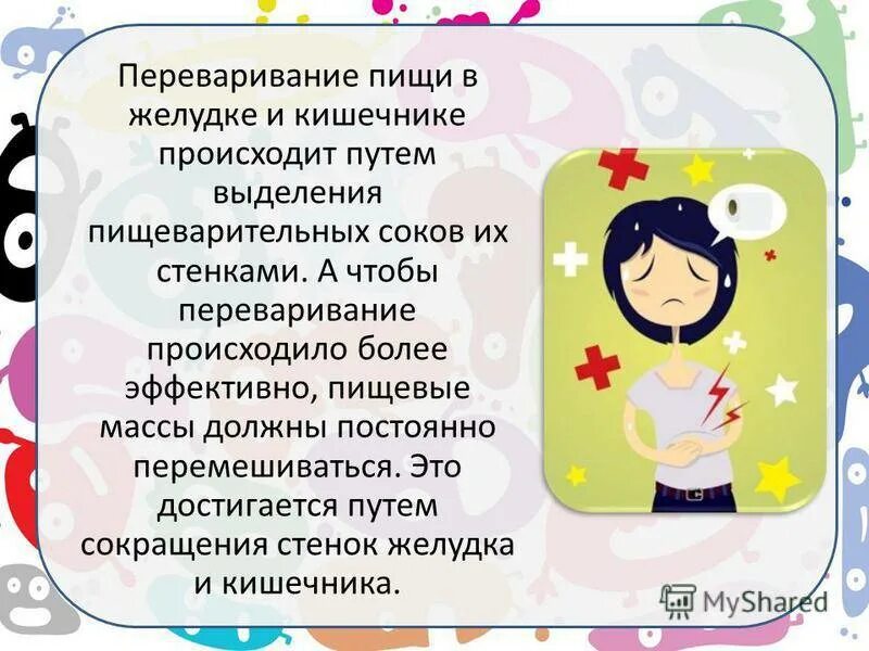 После приема пищи бурление в животе причины. Урчание в желудке после еды. сильное урчание в желудке причины. урчание в животе причины. урчание живота и желудка.