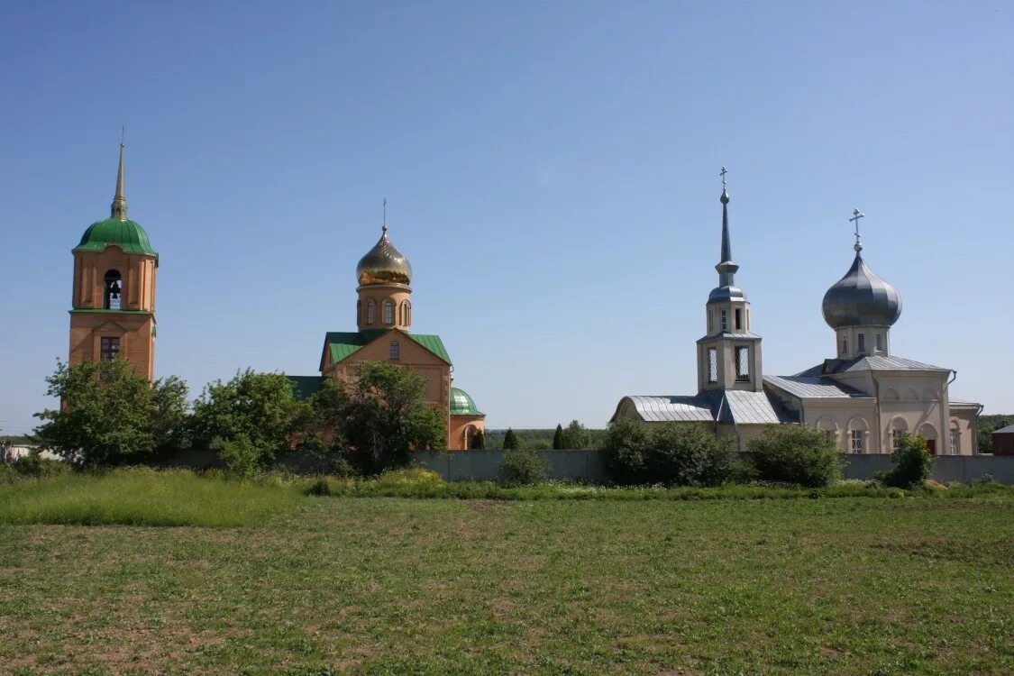 Колюпаново свято казанский. Женский монастырь в Тульской области Колюпаново. Казанский женский монастырь в Колюпаново. Колюпаново Алексин. Храм в деревне Колюпаново.