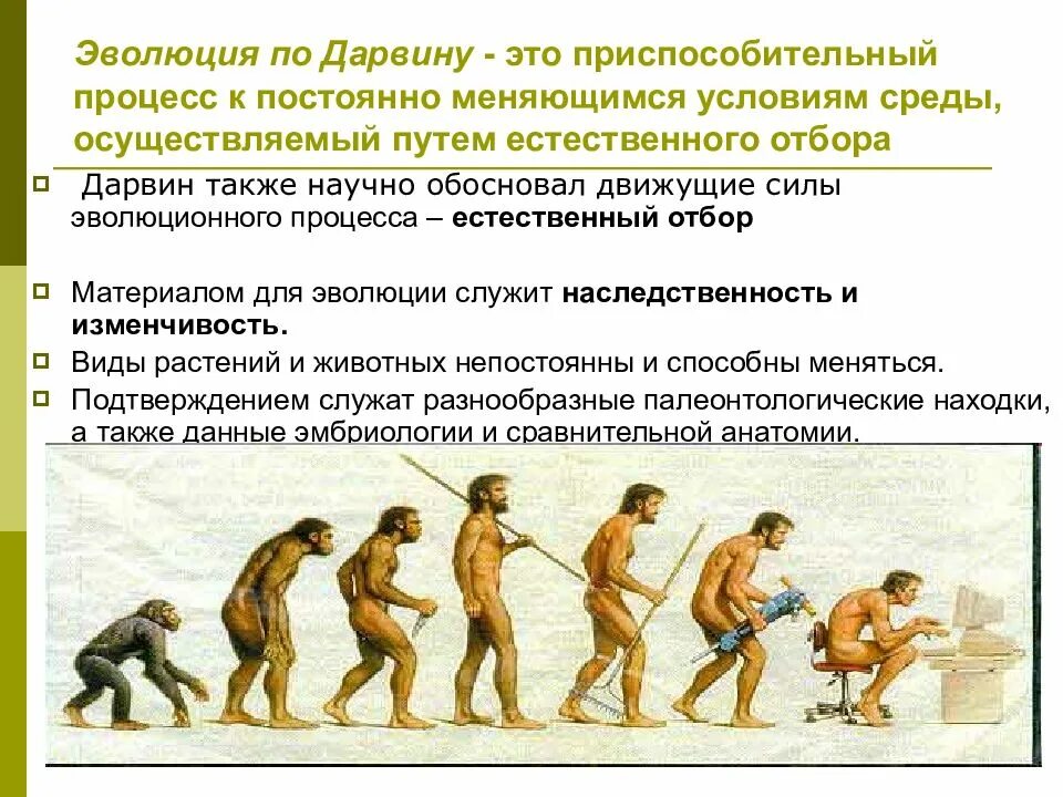 Эволюция процесс изменения. Эволюция процесс изменения