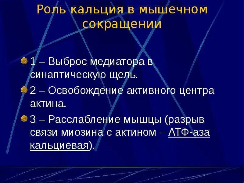 Роль кальция в мышечном сокращении. Роль ионов кальция в мышечном сокращении. Роль ионов кальция в процессе мышечного сокращения. Роль кальция в сокращении мышц. Передача пд