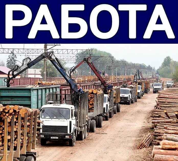 Погрузка лесных грузов. Погрузка леса в вагоны. погрузка разгрузка древесины. вагоны с лесом. разгрузка лесоматериалов.