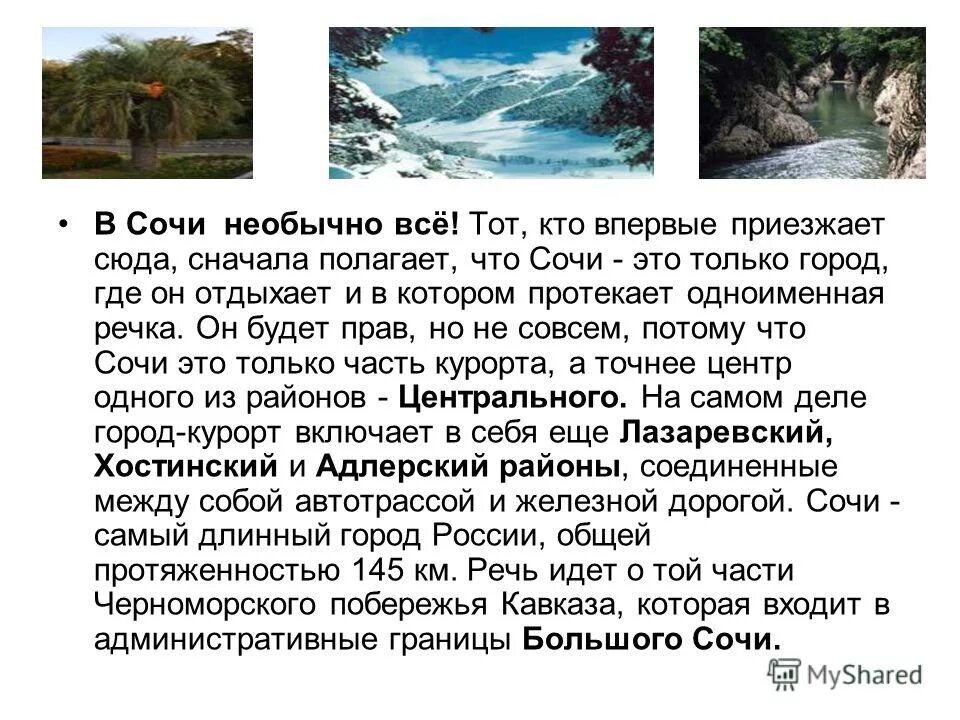 история города сочи. олимпийский парк сочи проект. проект города россии сочи достопримечательности. рассказ про город сочи 3 класс. соч соч сочи.