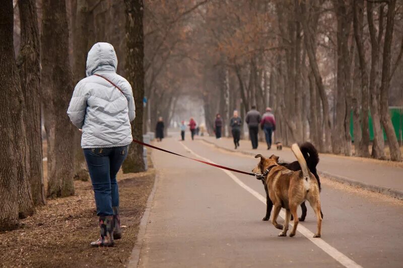 В открытую гуляет