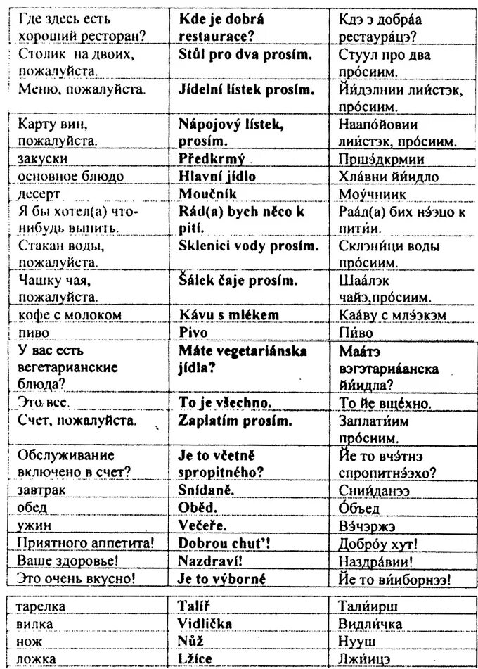 изучаем чешский язык самостоятельно. чешский язык для начинающих с нуля самоучитель. как выучить чешский язык. самоучитель чешского языка книга. чешский язык: учебник-самоучитель.