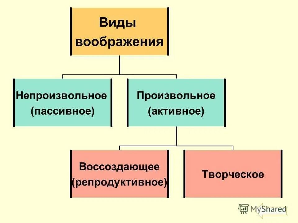 1 воображение виды воображения. Классификация видов воображения. виды воображения таблица. виды воображения схема. классификация видов воображения в психологии.