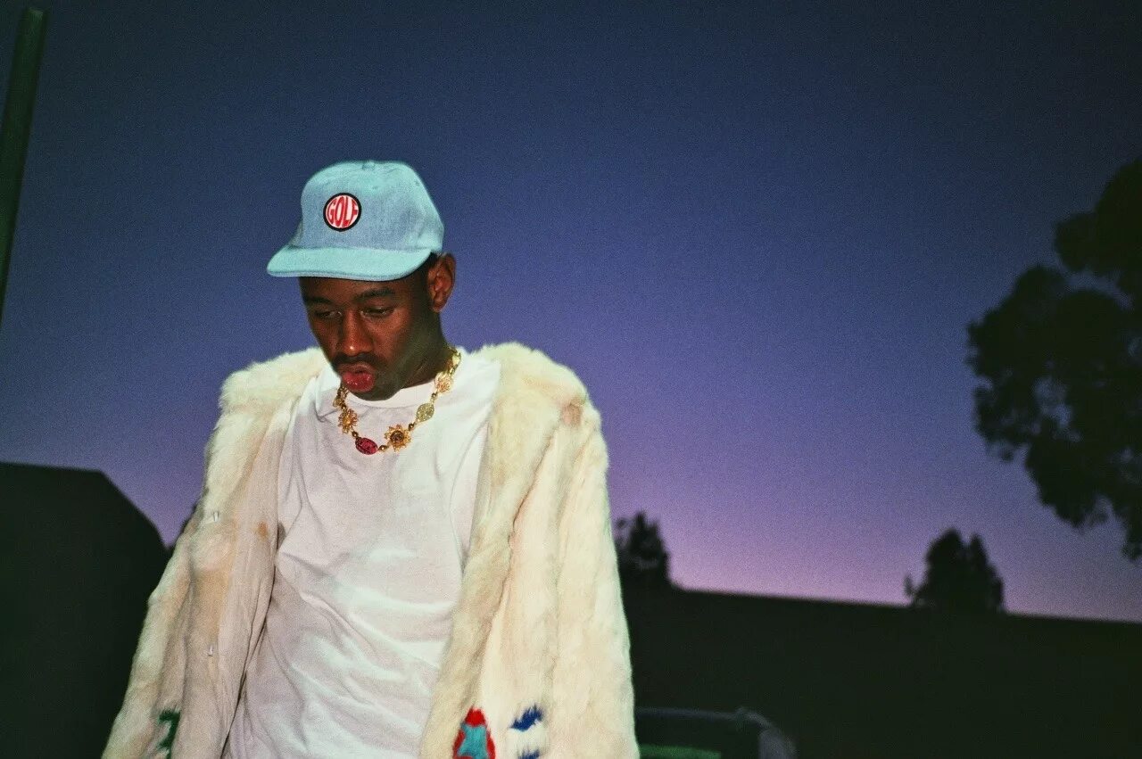 After the storm tyler the creator. Tyler the creator. Tyler the creator photosession. Тайлер Криэйтер в шубе. Wolfgang Tyler the creator.