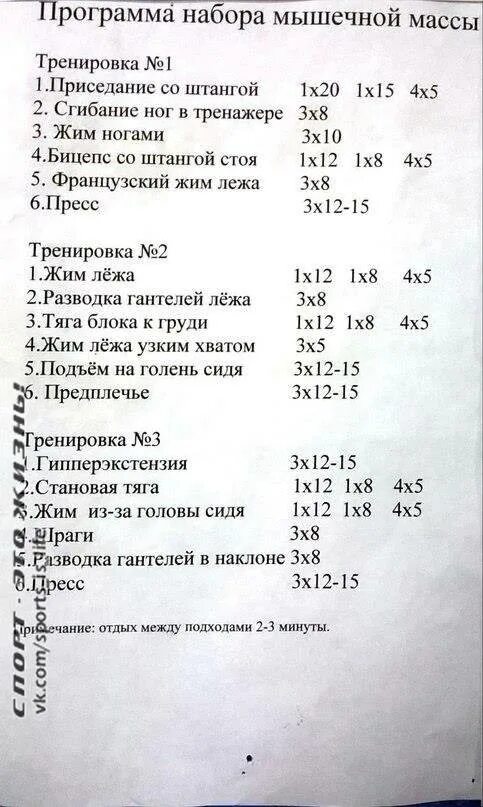 Как тренироваться для набора массы. Программа тренировки для набора мышечной массы на 3 дня. 3 дневная тренировка для набора мышечной массы. графики тренировок для набора мышечной массы. программа тренировок для набора мышечной массы 3 раза в неделю.
