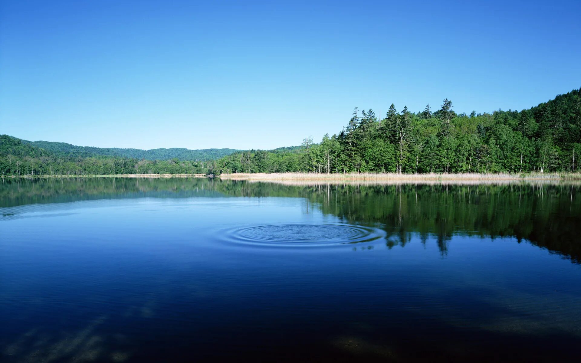 Lake download. Озеро Источное Свердловская область. Озеро Веттерн. Озеро Гамильтон пул. У озера.