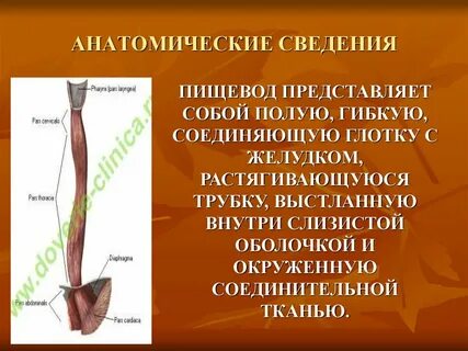 Сужения пищевода