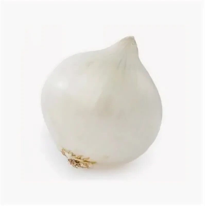 Лук-севок стардаст. Белый лук можно. Лук серебристый белый. Лук-севок сеттон. Лук белый на белом фоне.