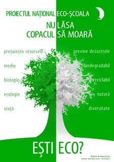 Эко короткий