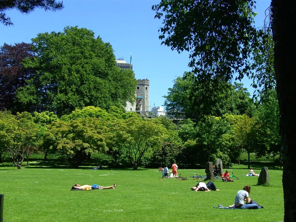 Парк ис. Bute Park Cardiff. Парк в Англии парк Уэльса. Парк бьют в Уэльсе. Парки Кардиффа.