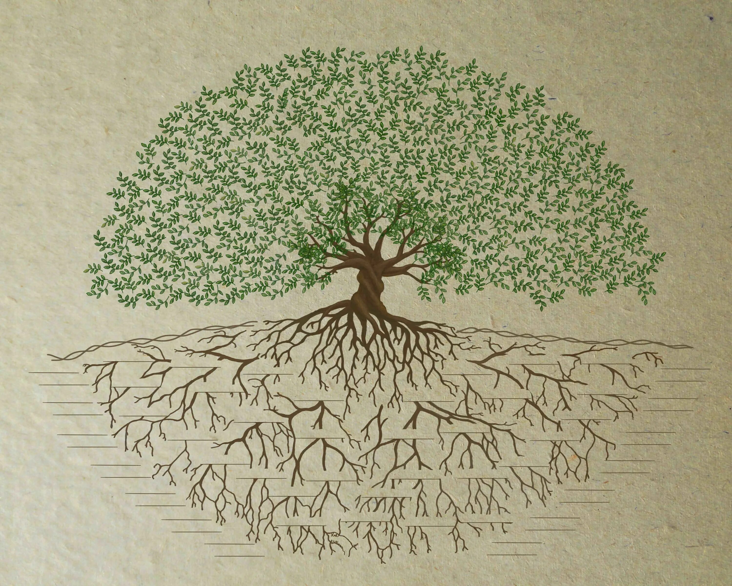 Isn tree